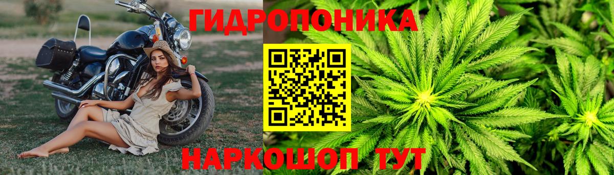 Шишки марихуана индика  МАРИХУАНА план  Вход с VPN  Воскресенск  Конопля марихуана  Марихуана AK-47 